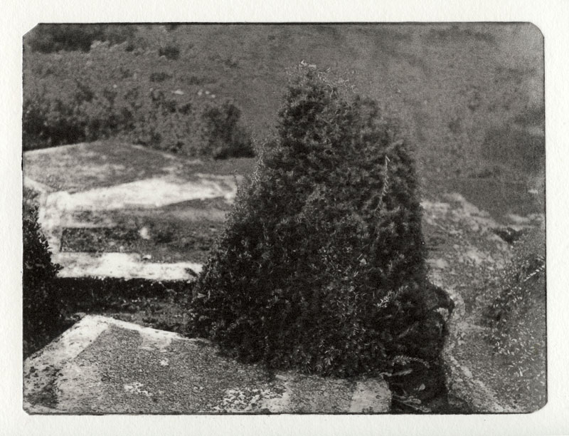 SbQ polymer gravure